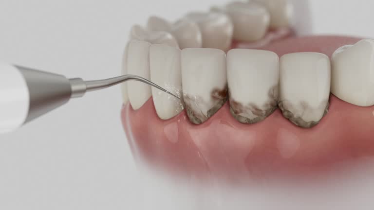 Reliable Dental contractor in Smithfield, NC by Dentist Open Now